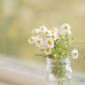 一比一原版罗格斯新泽西州立大学文凭【degxx.com】